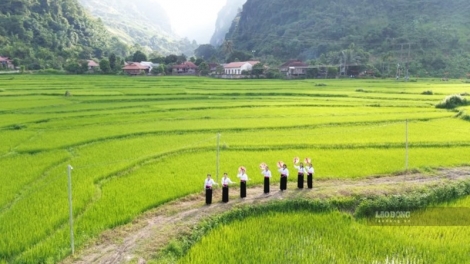 Quam kháo phổng Tày Bắc thứ 6 mự 16 căm bườn 10 pì 2026