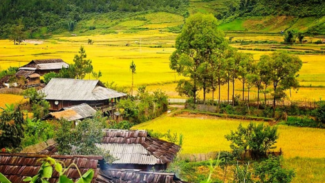 Tây Bắc pếnh khày vịa dệt khòng côn đảy lài pi nọng tin chưa cuồng vịa  tẳng tánh bản na mắư.