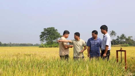 Dăk Lăk lơh gơlik kòi tơrmù sang nhơm ƀơ̆ tus bơdìh