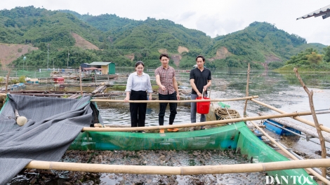 PỈ NOỌNG DÚ SLẢNH TUYÊN QUANG CHẲN DỦNG TỈ TÔM, NẢ NẶM CÓ PỀN TÀNG HẾT KIN MẮN TÁNG