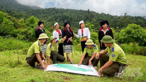  CHUYÊN MỤC QUẢN LÝ, BẢO VỆ VÀ PHÁT TRIỂN RỪNG
