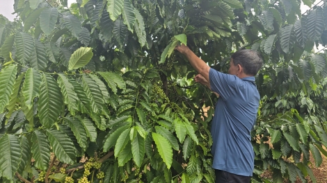 Tơjur jên jang păng hơtŏk tơiung kơjăp tơdrong jang cheh phe