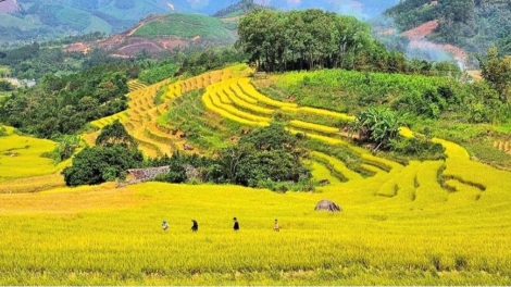 HỘI SLÌ NÀ SLÚC LƯƠNG DÚ XẠ LỤC HỒN, (QUẢNG NINH) 