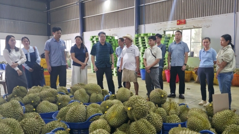 Lâm Đồng: Nchră trong mât rnoh mbrô nkual tăm, pơk hvi ntŭk tăch n'gluh