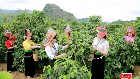 Quam kháo phổng Tày Bắc thứ 4 mự 07.10.2026