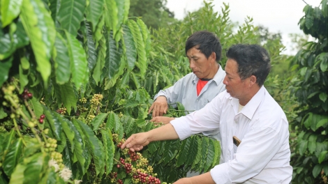 CẦN ĐẢY PỈ NOỌNG SLỨN ĐIẾP GIÀNG A LỲ DÚ BẢN ĐẮL SNAO