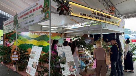 Lễ hội Cà phê Sơn La - Nơi tinh hoa cà phê hội tụ