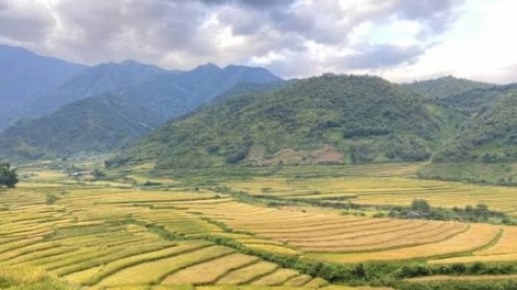 Ngon tô thứ 3 mự 20 căm bườn 10 pì 2026: Khù po hay me na cận hụ số 5