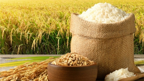 ពត៌មាន​ម៉ោង៦