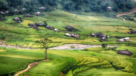 ADAT CAMBAT SAONG SENNI DI URANG MÔNG