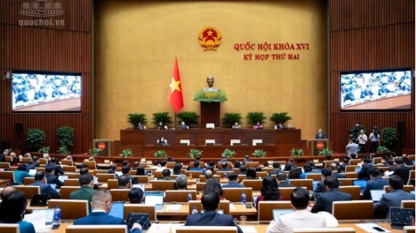 'Mâi hơ'lêh Luât păn roăng kuăn 'nĕng: Rak tơniăn ki pơxúa lĕm tro má môi dêi vâi hdrêng