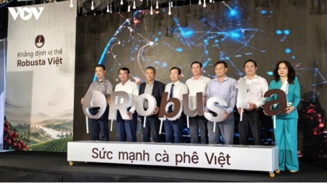 Troăng hơlâ rak trếo kơhiâm mơdêk ki dâi lĕm kloăng kơphế Robusta