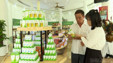 LÀO CAI KẺ KHỎ CHANG VIỂC PAO CHỰC HENG TIỂNG CÚA BẠI THÌNH CÚA CÁI 