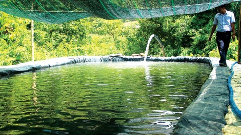 BĂN A XIU ĐHỊ ĐAC CHRỘ