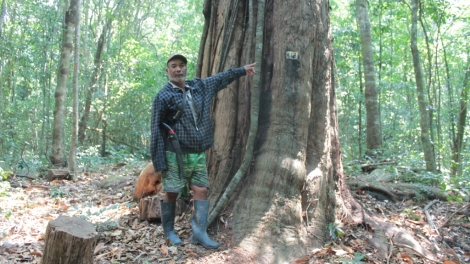 Linh j^ rơ ka K’Ho kla tơ mam ‘mêm ăn kơ bri