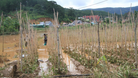 Lâm Đồng, Gia Lai kơ chăng tơ jră hăm ‘mi kial hơ bŭt kơ sô̆ 4