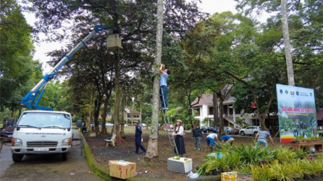 Chô̆ pơtăm pơkao lan tơ̆ dơnơm ‘long pơm yơ̆p pơm ‘lơ̆ng măt lăng kơphô̆ phương Dak Lăk