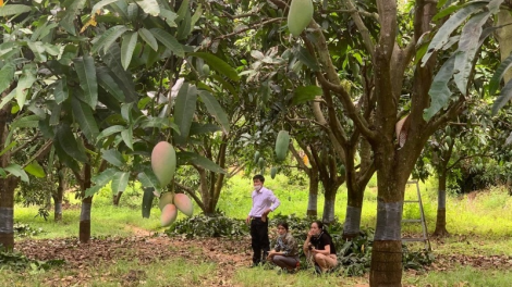 Kơ jă Pơ ŏ tơjur kơtang, bơngai pơtăm jang sa ư̆h kơ đei