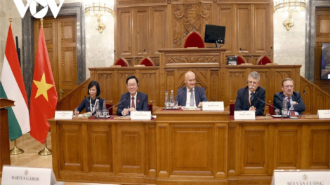 Kơ dră Kuô̆k hô̆i Vương Đình Huệ vang pơ ma đam găh chih pơ jing luơ̆t đơ̆ng Kuô̆k hô̆i Việt Nam păng Hungary