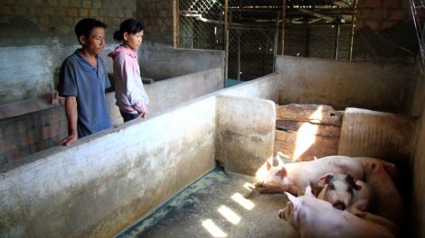 Khaw tin 10h30 saong 14h30 harei 22-10