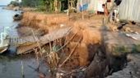 khau tin 19h harei 8/10