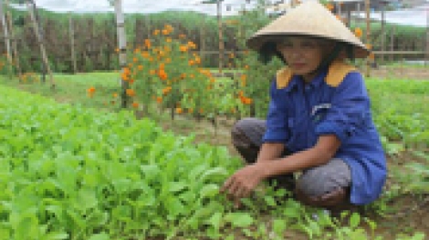 Ban raya HCM daong urang nong tapa truh kan kathoat