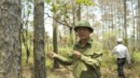 Khánh Hòa mek veik taneh lâm trường jao ka bhapbini bangsa takik kan kathaot