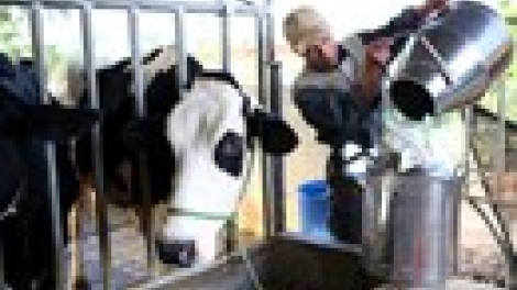 Khau tin 10h30 song 14h30 harei 4-2-2015