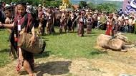 khau tin 19h harei 14/5 saong 6h30 harei 15/5