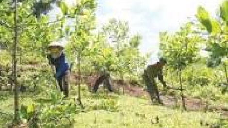 khau tin 19h harei 26/5 saong 6h30 harei 27/5