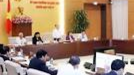 khau tin 10h30 saong 14h30 harei 1.6