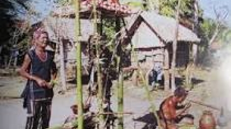 Khau tin ilamu harei 21-6-2015