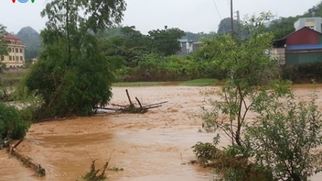 Khaw tin 19h harei 25 saong 6h30 harei 26-6-2015