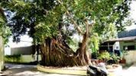 khau tin 19h ngày 13/7 saong 6h30 harei 14/7