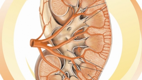 dom dau hieu thau lac ruak than