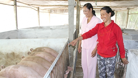 khau tin 19h harei 9/7 saong 6h30 harei 10/7