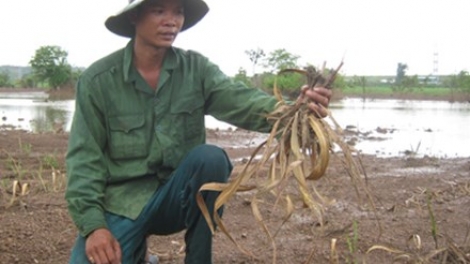 Habar patrun kan kathaot di Đắc Lắc oh ka hu khang kajap?