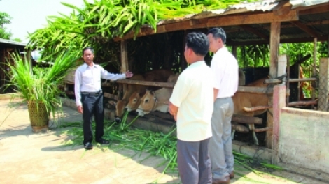 Taha Ríp kham tapa kan kandah ngak kaya meda