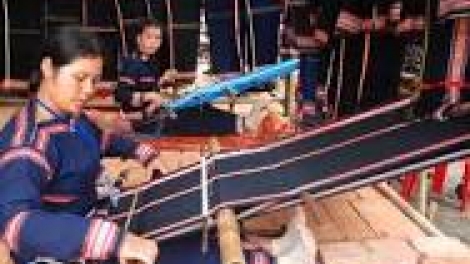 khau tin 19h harei 5/9