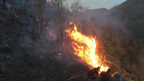 khau tin 10h30 harei 2/12