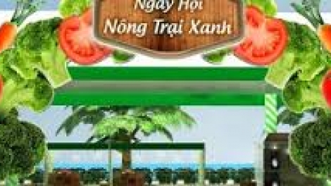 Khau tin 6h30 harei 8/12