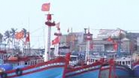 Khau tin 10h30 harei 24/11