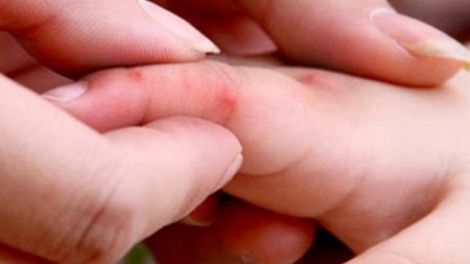 Khau tin 6h30 harei 13/10