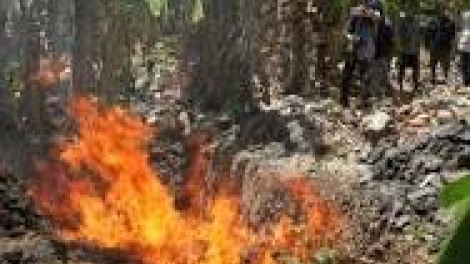 khau tin 10h30 saong 14h30 harei 23/4