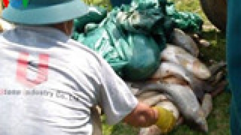 Khaw tin 10h30 -14h30, harei 16/5