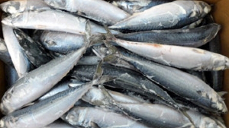 Khaw TIN 10h30 saong 14h30 14/6/2016