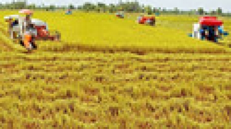 Khaw tin 19h, 21/10 saong 6h30 harei 22/10