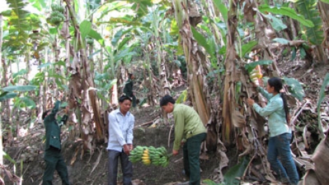 Urang nong bhum tapeng negar Huổi Luông patruh kathaot meng pala patei