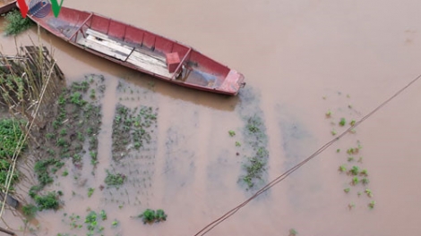 Khaw tin 19h harei 10-11-2016