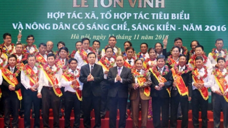 Khaw tin 10h30 -14h30, harei 14/11